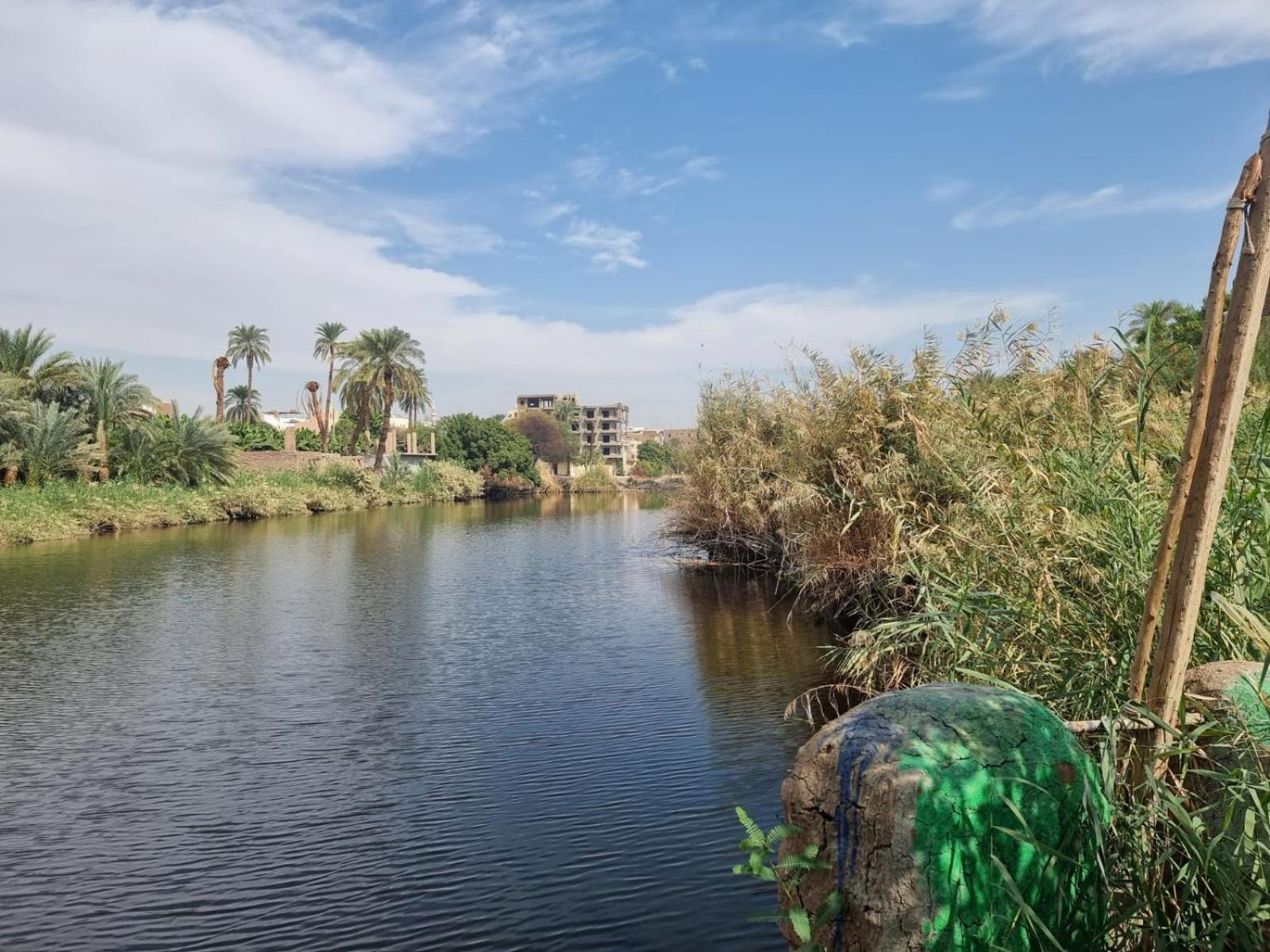 Luxor Old Nile Hotel Cameră foto